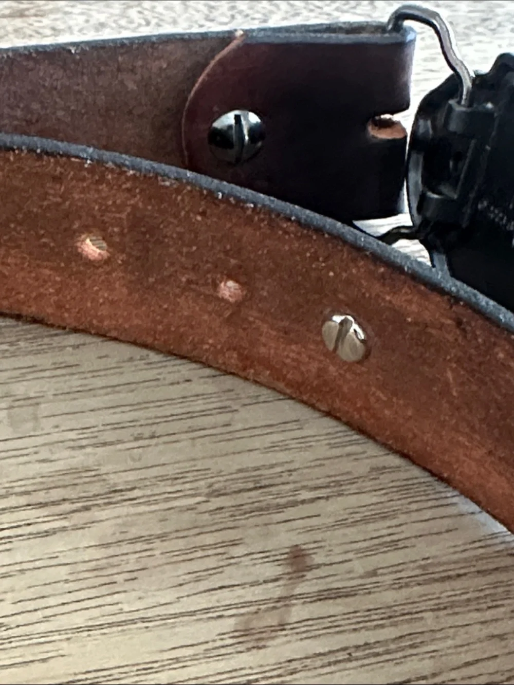 Country Western leather cowboy belt w buckle piranha fish buffalo nickel 44” new